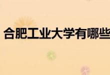 合肥工業(yè)大學(xué)有哪些專業(yè)（什么專業(yè)好就業(yè)）