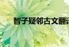 智子疑鄰古文翻譯（智子疑鄰的譯文）