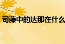 司藤中的達那在什么地方（司藤電視劇簡介）