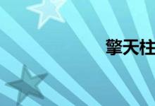 擎天柱圖片（擎）