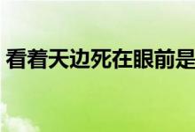 看著天邊死在眼前是什么歌（是歌曲起風(fēng)了）