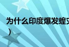 為什么印度爆發(fā)蝗災(zāi)（帶你了解未來蝗災(zāi)走向）