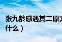 張九齡感遇其二原文（張九齡感遇其二原文是什么）