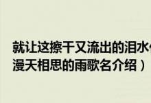 就讓這擦干又流出的淚水化作漫天相思的雨是什么歌（化作漫天相思的雨歌名介紹）