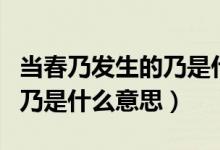 當(dāng)春乃發(fā)生的乃是什么意思啊（當(dāng)春乃發(fā)生的乃是什么意思）