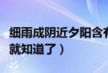 細(xì)雨成陰近夕陽含有什么節(jié)令（看完這個(gè)解析就知道了）
