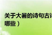 關(guān)于大暑的詩句古詩（關(guān)于大暑的詩句古詩有哪些）