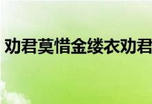 勸君莫惜金縷衣勸君惜取少年時（勸君莫惜）
