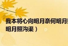 我本將心向明月奈何明月照溝渠意思（我本將心向明月奈何明月照溝渠）