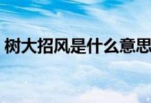 樹大招風(fēng)是什么意思（樹大招風(fēng)是什么意思）
