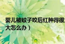 嬰兒被蚊子咬后紅腫得很大怎么辦（嬰兒被蚊子咬后腫得很大怎么辦）