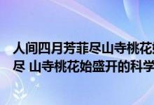 人間四月芳菲盡山寺桃花始盛開的科學(xué)解釋（人間四月芳菲盡 山寺桃花始盛開的科學(xué)解釋）