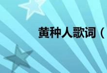 黃種人歌詞（黃種人整首歌詞）