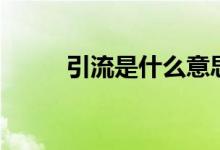 引流是什么意思飯圈（引流解釋）