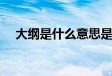 大綱是什么意思是目錄嗎（大綱是什么）