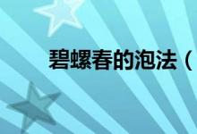 碧螺春的泡法(碧螺春的泡法介紹)