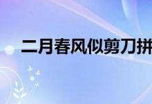 二月春風(fēng)似剪刀拼音（二月春風(fēng)似剪刀）