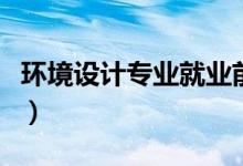 環(huán)境設(shè)計(jì)專業(yè)就業(yè)前景如何（畢業(yè)后能干什么）