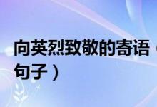 向英烈致敬的寄語（這些都是致敬英雄的經(jīng)典句子）