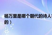 楊萬里是哪個朝代的詩人字什么號什么（楊萬里是哪個朝代的）