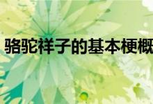 駱駝祥子的基本梗概（駱駝祥子的基本線索）
