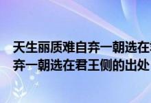 天生麗質(zhì)難自棄一朝選在君王側(cè)是什么意思（天生麗質(zhì)難自棄一朝選在君王側(cè)的出處）