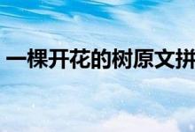 一棵開花的樹原文拼音（一棵開花的樹原文）