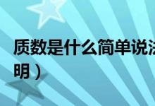 質數(shù)是什么簡單說法（質數(shù)是什么意思舉例說明）