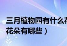 三月植物園有什么花（三月份的時候植物園的花朵有哪些）