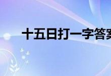 十五日打一字答案（十五日打一字謎）