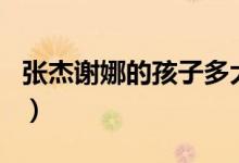 張杰謝娜的孩子多大了（張杰謝娜的孩子幾歲）