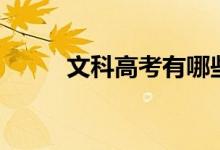 文科高考有哪些科目（分?jǐn)?shù)多少）