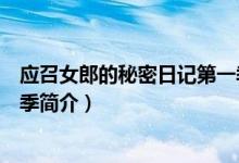 應召女郎的秘密日記第一季劇情（應召女郎的秘密日記第一季簡介）