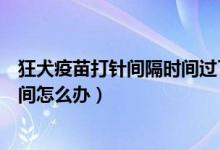 狂犬疫苗打針間隔時間過了怎么辦（錯過了狂犬疫苗打針時間怎么辦）