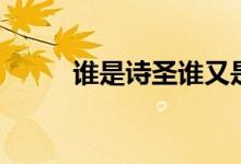 誰是詩圣誰又是詩仙（誰是詩圣）