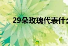 29朵玫瑰代表什么（適合什么場(chǎng)合送）