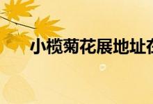 小欖菊花展地址在哪里（你會(huì)喜歡嗎）