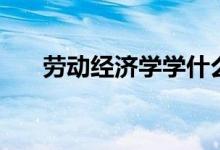 勞動經(jīng)濟(jì)學(xué)學(xué)什么（主要課程有哪些）