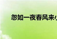忽如一夜春風(fēng)來小說（忽如一夜春風(fēng)）