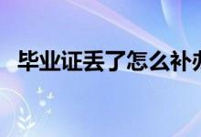 畢業(yè)證丟了怎么補辦(補辦流程是怎樣的)