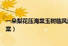 一朵梨花壓海棠玉樹臨風勝潘安是什么意思(一朵梨花壓海棠)