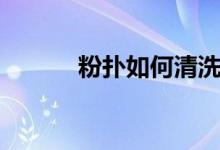粉撲如何清洗（怎么清洗粉撲）