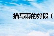 描寫雨的好段（描寫雨的好段介紹）