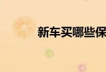 新車買哪些保險（哪種必須買）