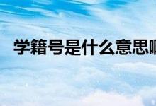 學(xué)籍號(hào)是什么意思啊（學(xué)籍號(hào)是什么意思）
