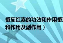 番茄紅素的功效和作用番茄紅素的副作用（番茄紅素的功效和作用及副作用）