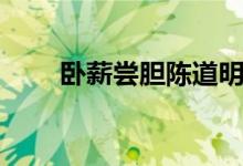 臥薪嘗膽陳道明電視?。ㄅP薪嘗膽）