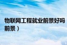 物聯(lián)網(wǎng)工程就業(yè)前景好嗎（2022物聯(lián)網(wǎng)工程專業(yè)就業(yè)方向及前景）