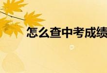 怎么查中考成績(jī)（怎么查中考成績(jī)）