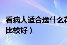 看病人適合送什么花（探望病人應(yīng)該送什么花比較好）